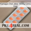 Kamagra Oral Jalea 100Mg Cómo Usar 26